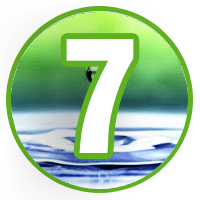 7